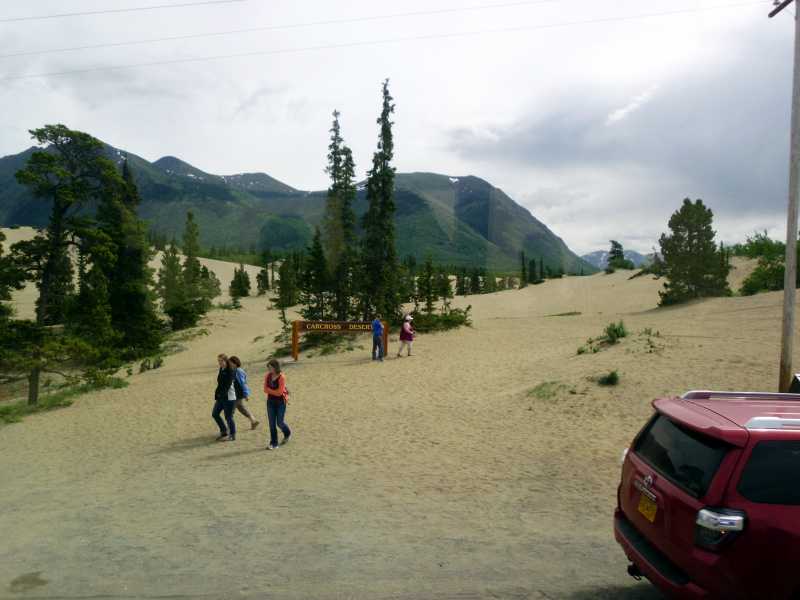 Yukon desert