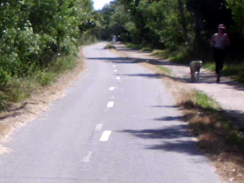 bike path