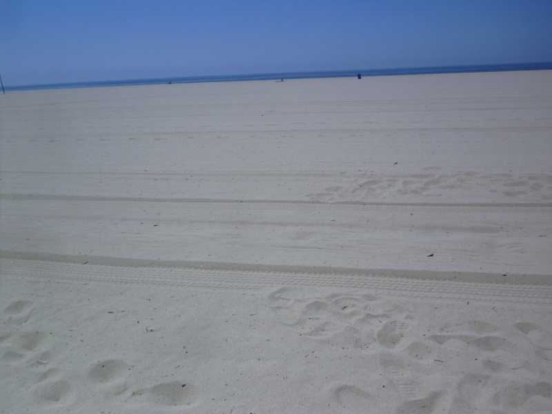 beach near santa monica