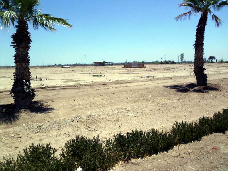 dry cemetery