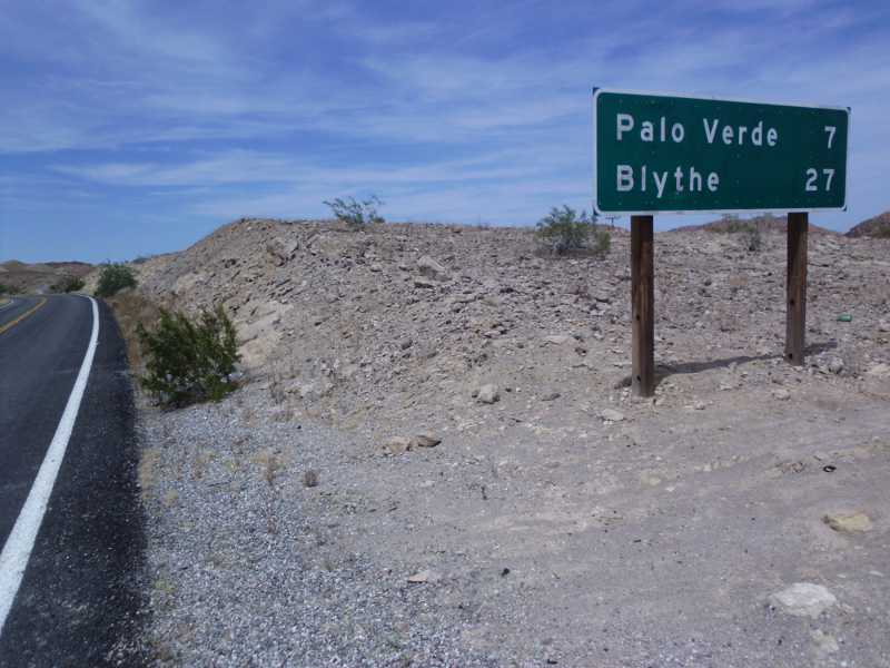 palo verde 7