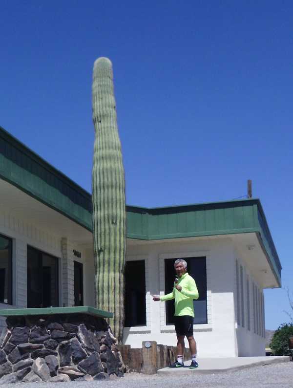 popsicle by the saguaro