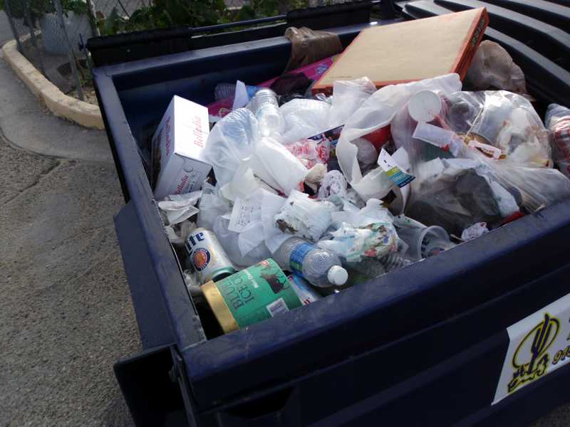 recyclables in Texas trash