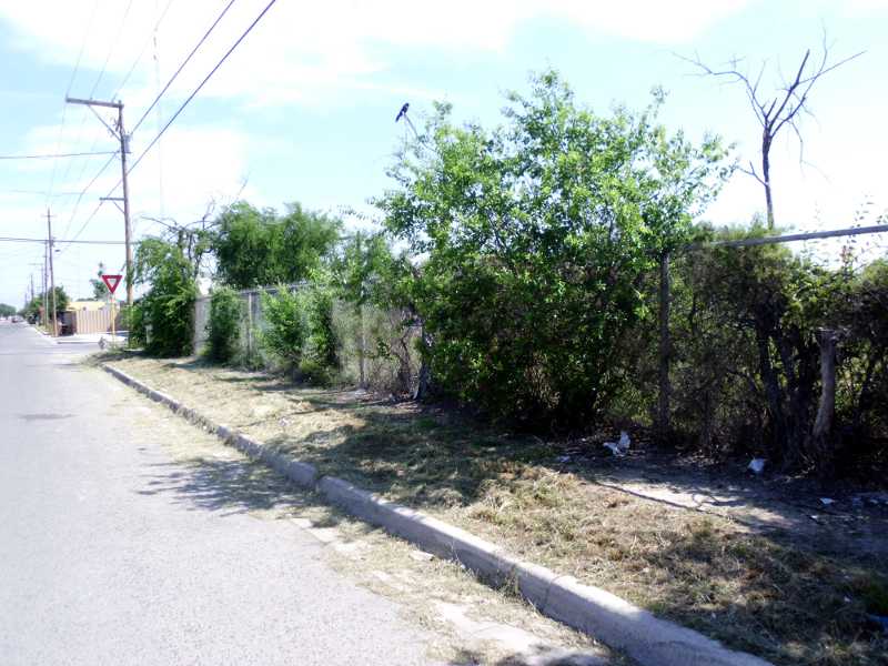 Del Rio neighborhood