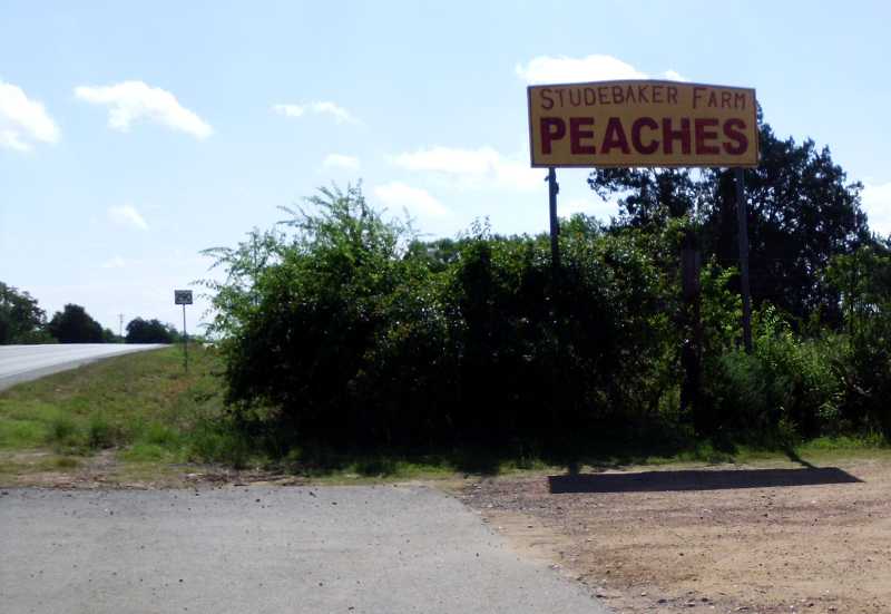 Studebaker Farm