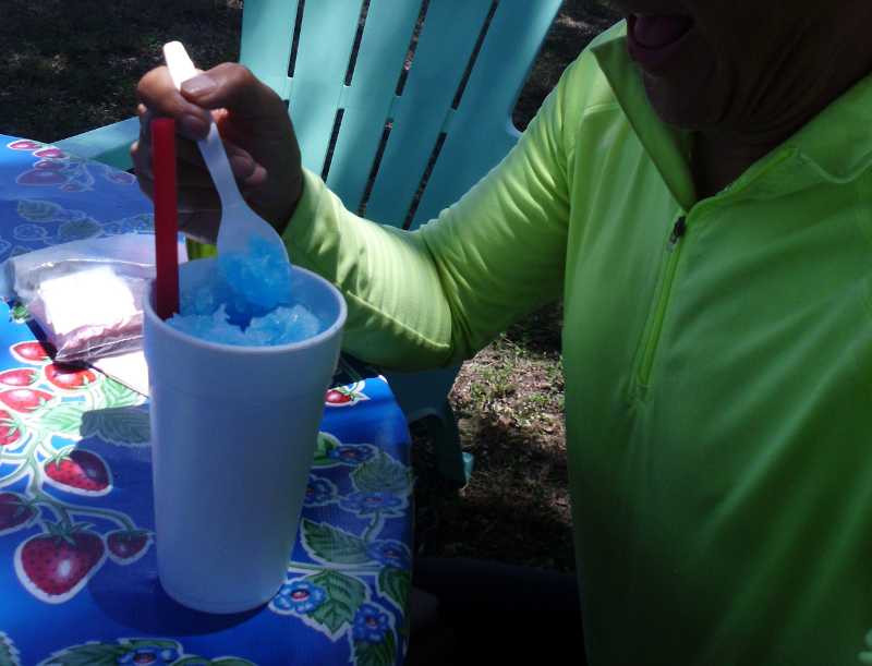 Blue Coconut Shaved Ice