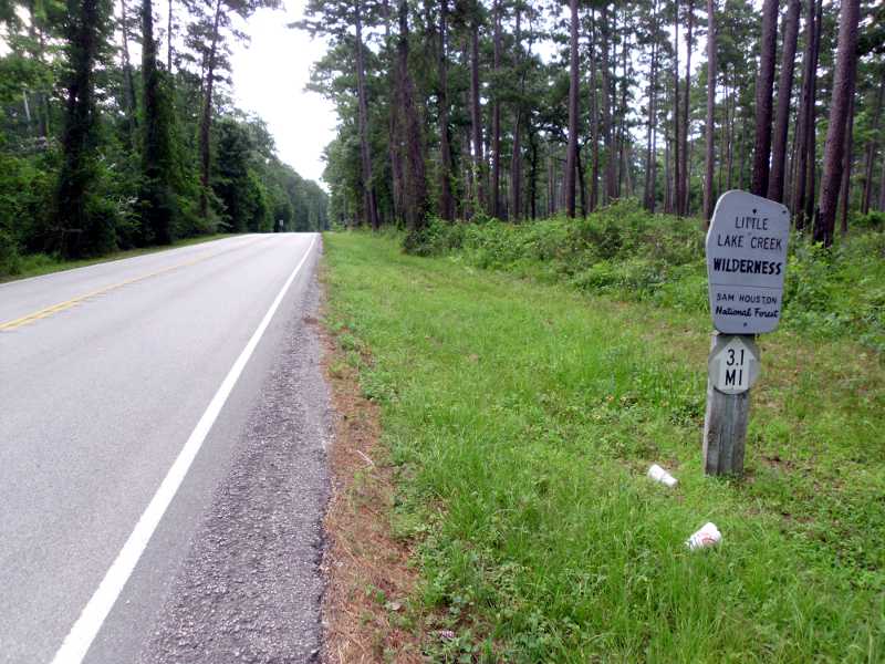 Sam Houston National Forest