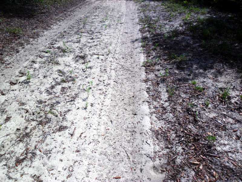 deep sand path