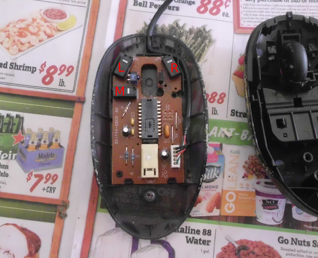 inside of mouse